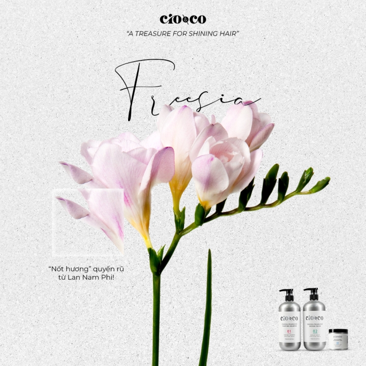 MÁCH BẠN: CÁCH CHỌN DẦU GỘI PHÙ HỢP VỚI MỌI LOẠI TÓC